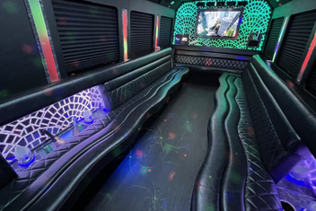 Waukegan Limo Bus Interior