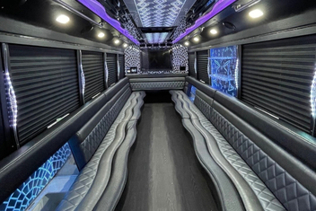 Waukegan Party Bus Interior